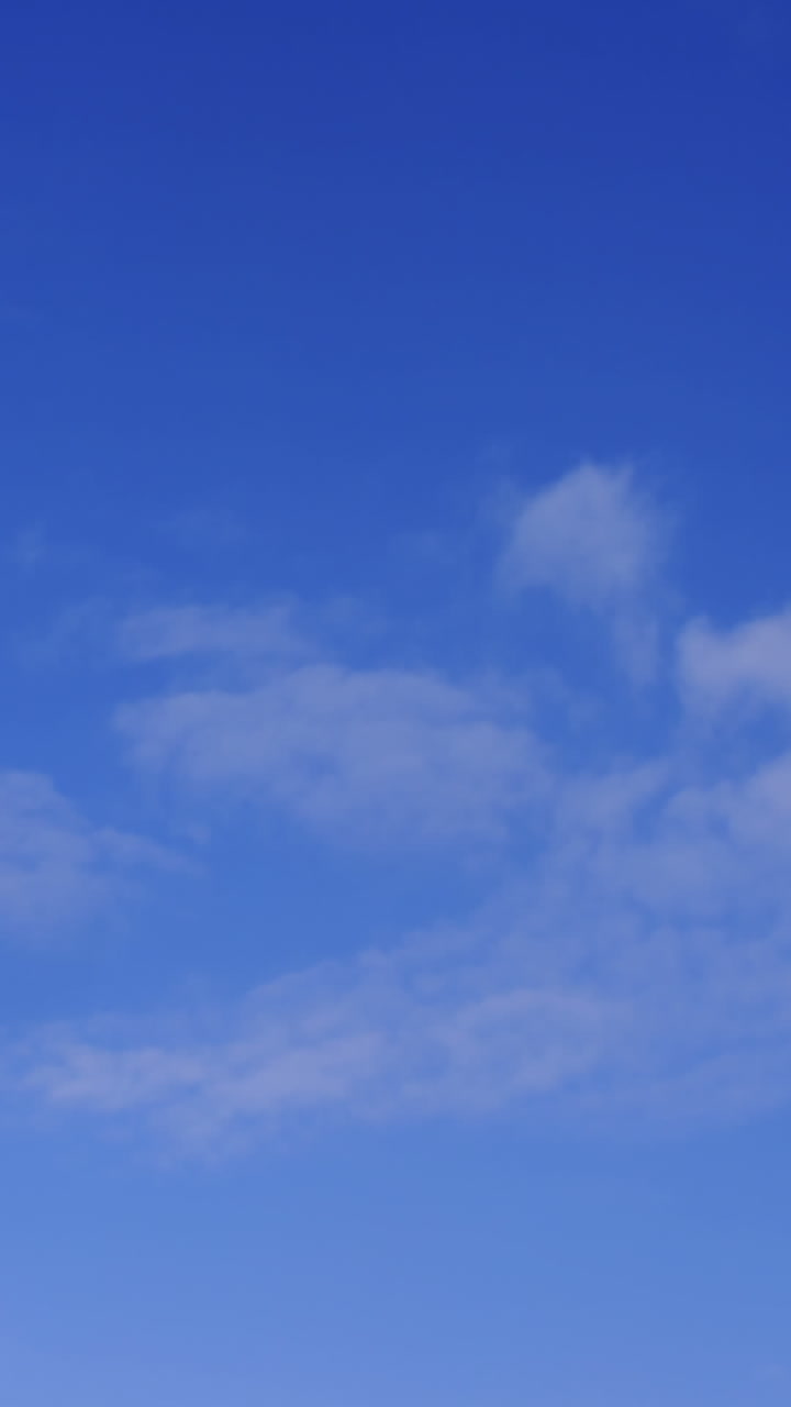 dos pájaros paloma volando contra el cielo azul