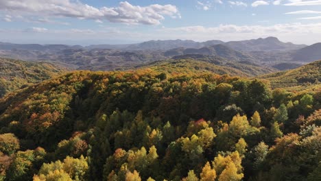 beautiful scenery in a sunny autumn day