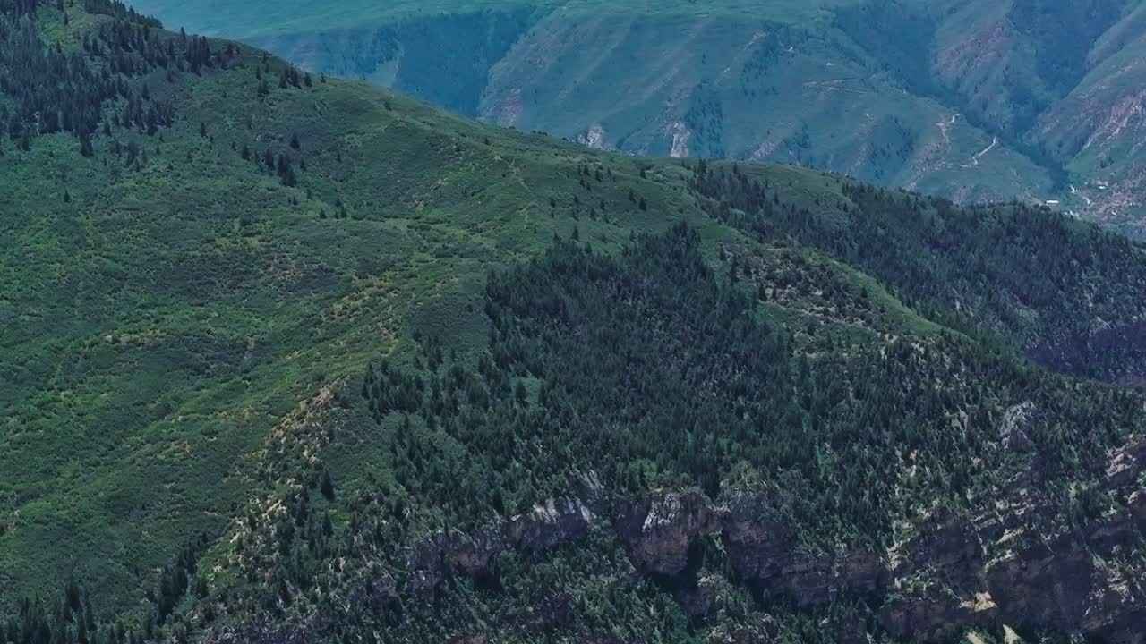 Explorando las montañas verdes de Colorado durante los días de verano