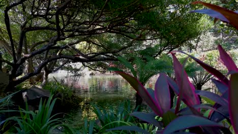 A-secret-corner-of-the-park,-a-waterfall-flowing-into-the-lake