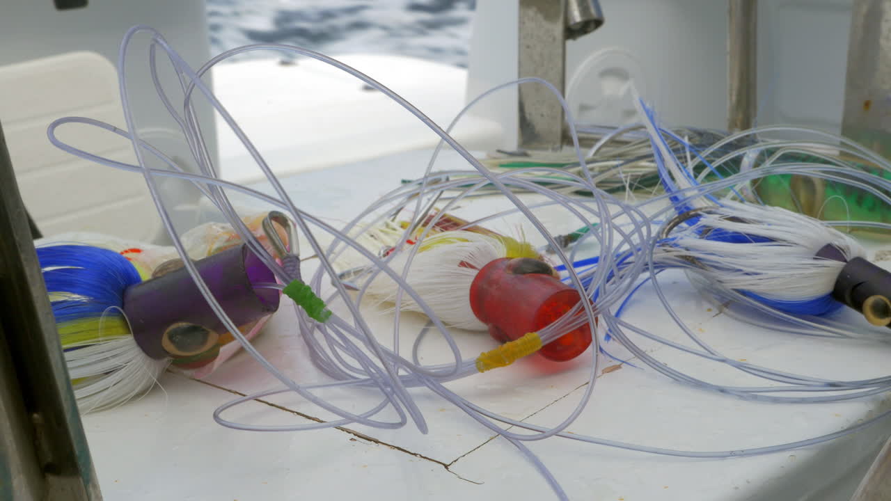 항해 요트의 뒷면에 있는 시 지그