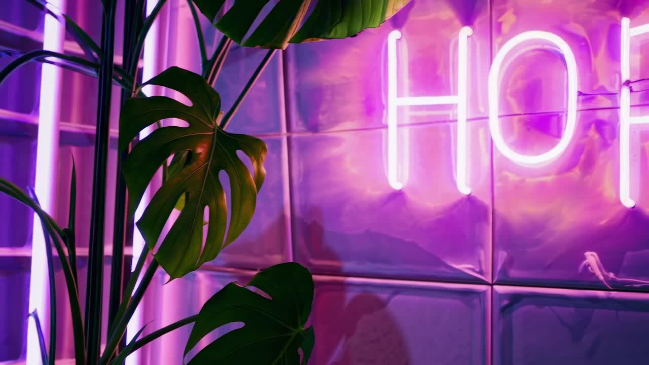 Plano em ângulo baixo de luzes neon e folhas tropicais, criando um vídeo vibrante e retrô-futurista