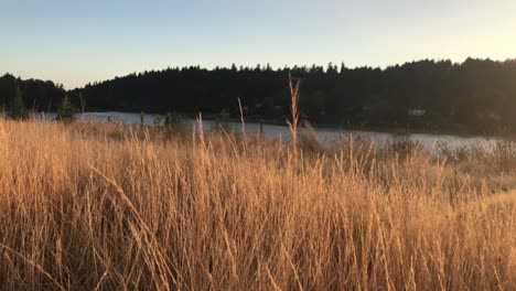 An-orange-sunset-over-a-river-seen-from-a-grassy-hill-in-a-park