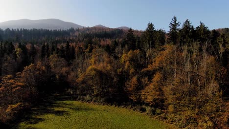 aerial view of the national park rakov skocjan in cerknica, slovenia, autumn colors