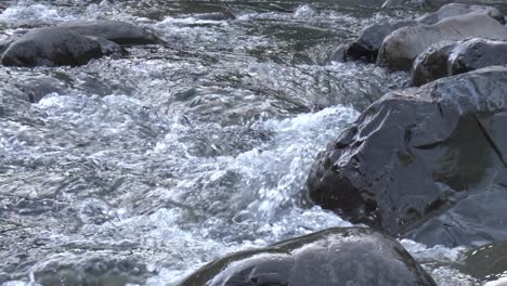 slow tilt down tight shot of river from bank to water