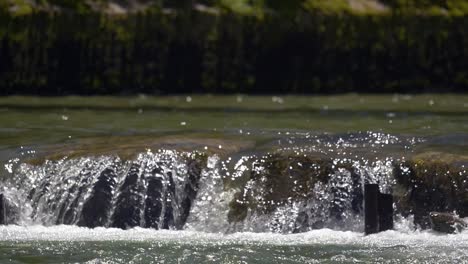 slow motion pan of flowing idyllic creek down the rocky mountains in summer