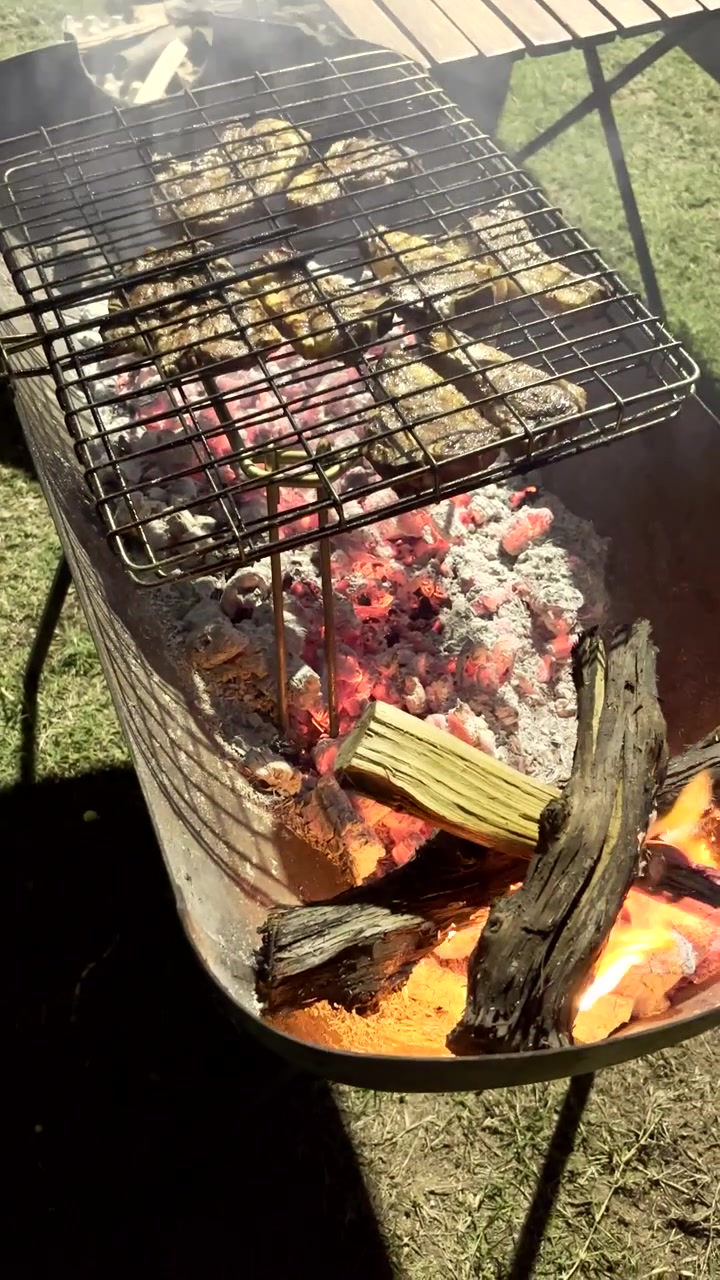 Suculentas costeletas de cordeiro em grelha de arame, grelhadas em brasas quentes de fogo a lenha, um braai tradicional sul-africano. POV vertical.