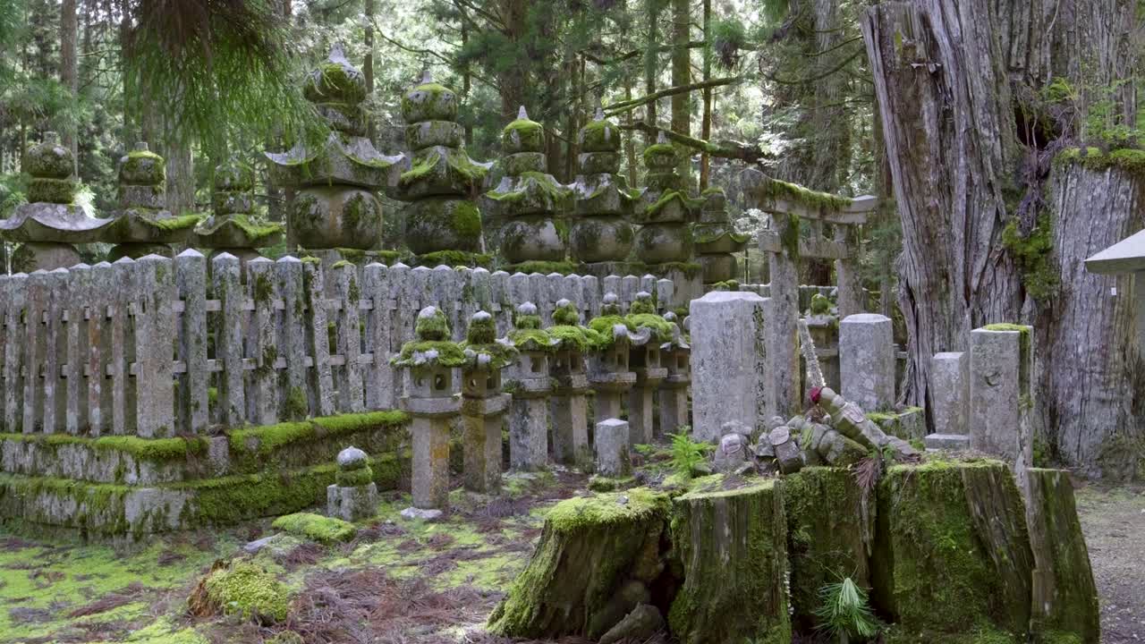 일본의 아름다운 사원 지대와 어져 있는 모스