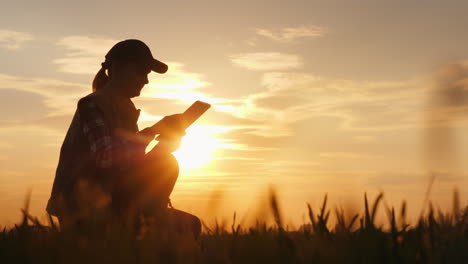 Junge-Bäuerin,-Die-Die-Sämlinge-Einer-Pflanze-Auf-Einem-Feld-Mit-Einer-Tablette-Studiert