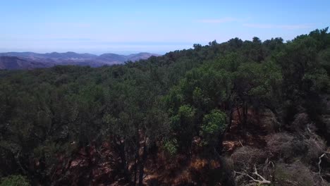 una hermosa toma aérea sobre las cimas de las montañas de santa ynez cerca de santa bárbara revela el océano pacífico distante