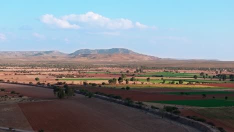 el canal de la carretera atraviesa campos agrícolas con pequeños arbustos de árboles, pan de camiones aéreos, aguascalientes méxico