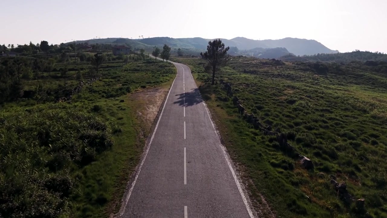 Strada asfaltata crepata con linee bianche che si estende tra colline e pini a Serra da Freita, Portogallo