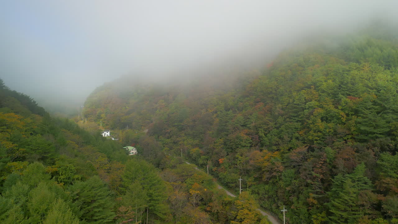 A spectacular aerial view ascending rapidly, breaking through a layer of fog to reveal a clear blue sky above the autumn canopy
