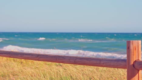 dry grass blowing in the wind, focus shifting into the ocean waves on the background