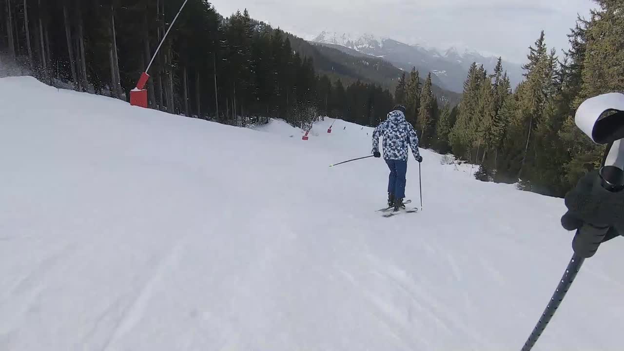프랑스 알프스의 소나무 사이로 피스트에서 스키 타기
