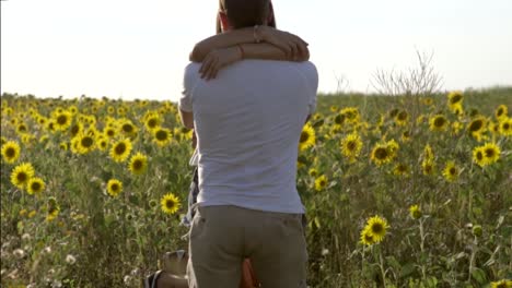 una pareja en un campo de girasoles.