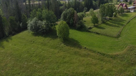 Drone-Tilt-Up-Shot-of-Beautiful-village-houses-around-Cyrhla-Podhale