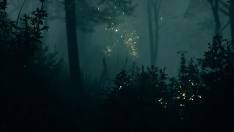 luciérnagas en un bosque oscuro