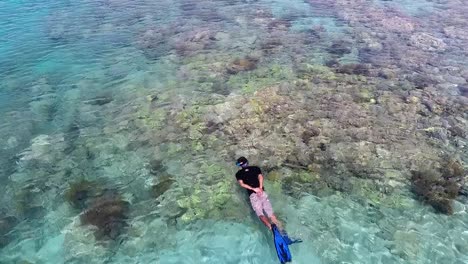 unrecognizable man snorkeling at coral ref at coast of sumbawa, indonesia aerial