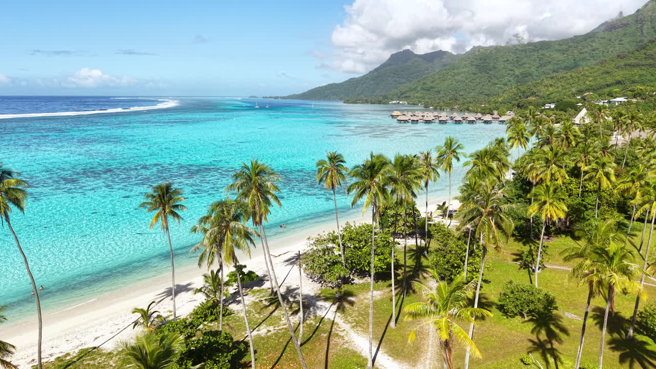 Moorea Island, French Polynesia. Revealing Drone Shot of Beach, Lagoon, Green Landscape, Palms and Resort With Overwater Bungalows