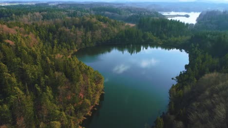 4k uhd aerial drone flight moving above a lake, a green forest, and tree tops in a national park bavaria in spring in germany