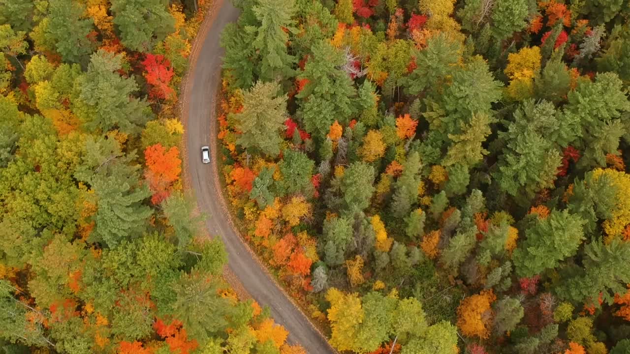Tracking drone shot of a silver car driving on a dirt road through a beautiful forest in full autumn colors in rural Canada