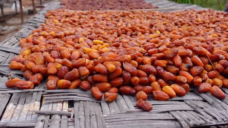 Close-up-shot-Scenic-view-of-arranging-dry-dates-on-the-table-in-Isla-Holbox,-Mexico,-Flies-flying-around-in-the-background