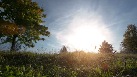 runner man running outdoors in park