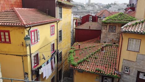 old traditional portuguese homes with moss growing on rooftop, porto