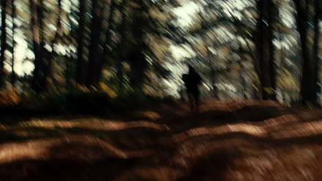 person running through forest
