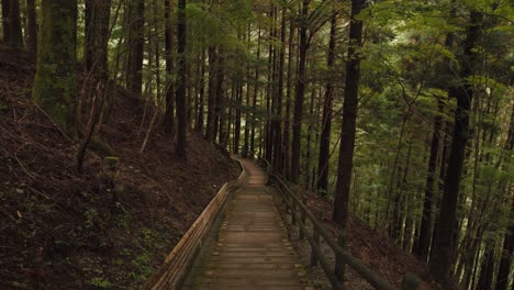 Valle-De-Iya,-Oku-iya-Kazurabashi---Tokushima,-Japón