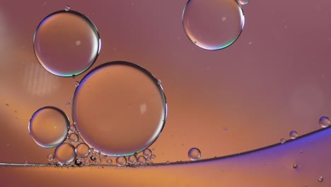 colorful artistic of oil drop floating on the water. abstract bubble backgrou