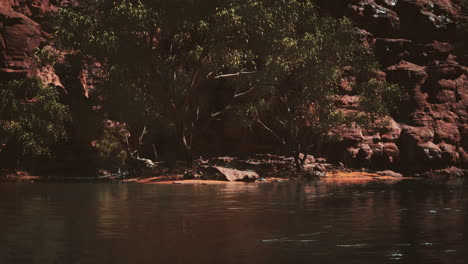 Panoramablick-Auf-Den-Colorado-River