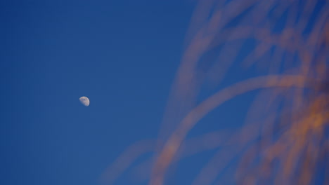 Tiro-Lento-De-Carro-De-Los-Cielos-Despejados-Con-La-Luna-Brillando-Con-Juncos