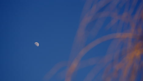 tiro lento de carro de los cielos despejados con la luna brillando con juncos