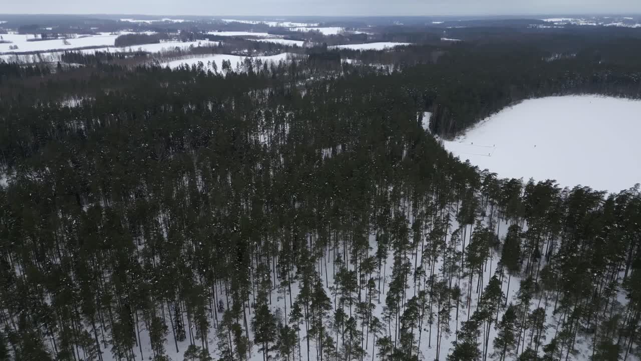 Drone video of winter forest with a lot of snow