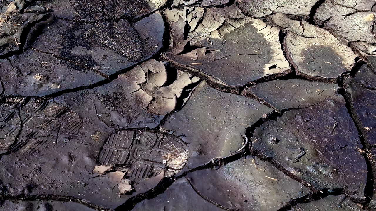 Cracked Muddy Surface with Deep Footprints Imprinted, Showing Arid Environmental Impact
