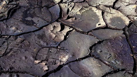 cracked muddy surface with deep footprints imprinted, showing arid environmental impact