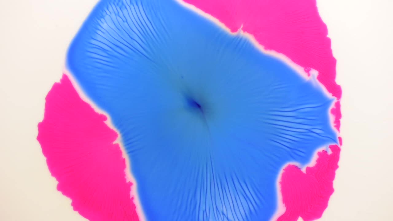 파란색은 분홍색을 쪼갠 다음 쇼를 훔칩니다. 자세한 내용은 따옴표를 사용하여 "abstractvideoclip"을 검색하십시오.