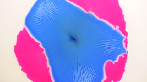 blue cleaves apart pink then steals the show - for more, search "abstractvideoclip" using the quotation marks