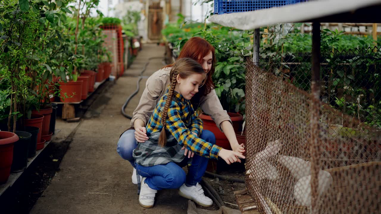 trabajadora del invernadero y su emocionada hija están jugando con conejos en jaula dentro de un gran invernadero. animales domésticos, personas felices y concepto de jardinería.