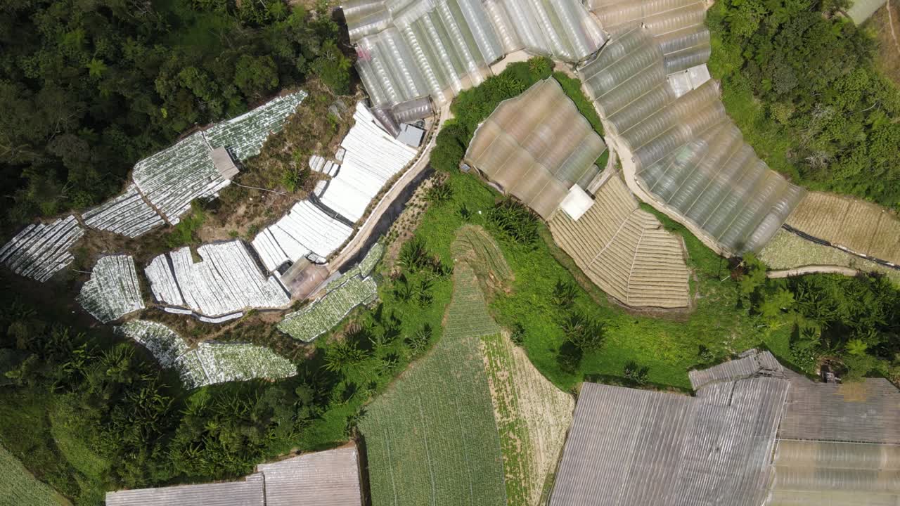 말레이시아의 카메론 하이랜드 지역 내의 브린창 지역의 일반 풍경