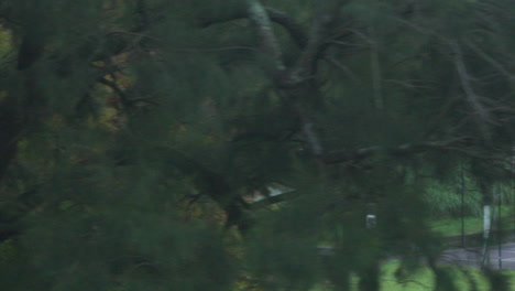 Filming-out-of-a-train-window-during-the-early-dawn-passing-a-skate-park-in-Sydney-Australia