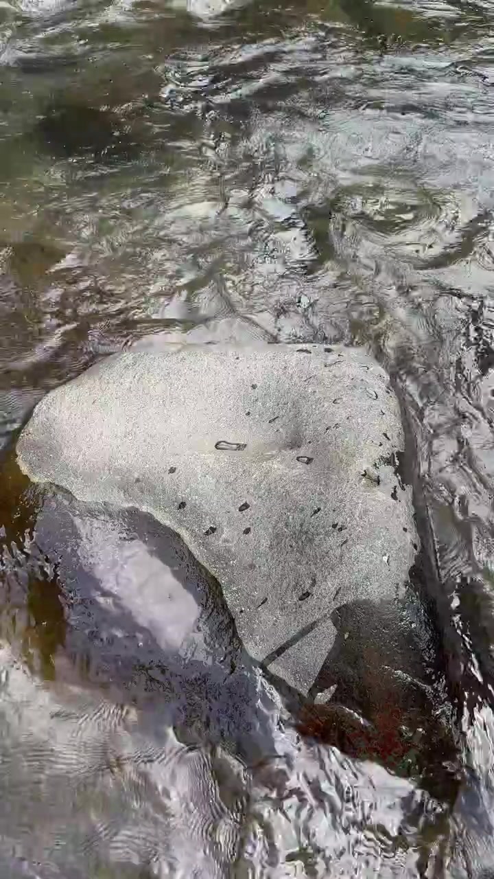 Agua cristalina fluyendo sobre una gran roca lisa de río
