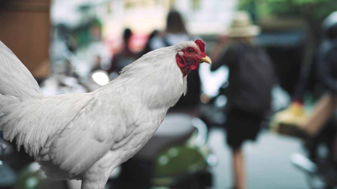 베트남 도시 거리의 손잡이, 흐릿한 전망