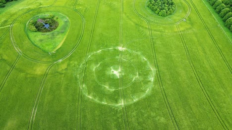 Aerial-view-above-grassy-meadow-blowing-in-the-breeze-to-Birdseye-over-geometric-crop-circle-agricultural-vandalism