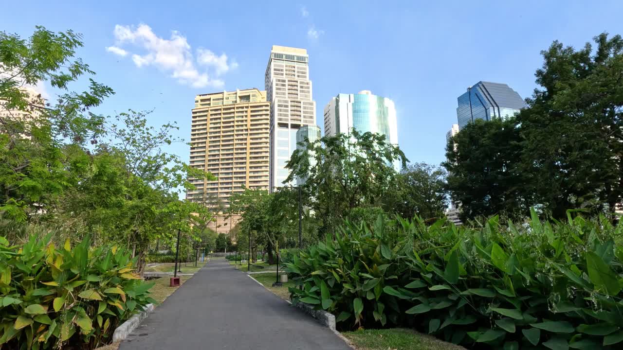 caminar constantemente a través de un camino exuberante del parque de la ciudad