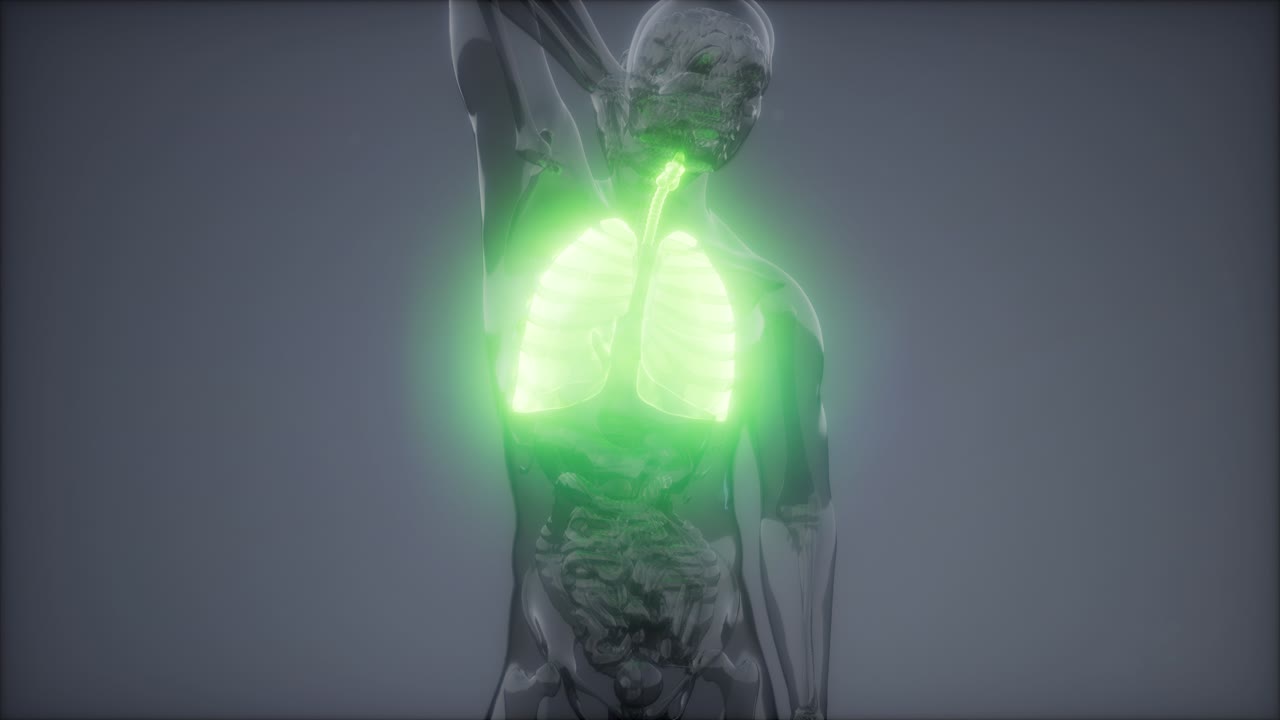 examen radiológico de los pulmones humanos