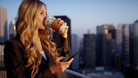 caucasian female business manager using technology on rooftop