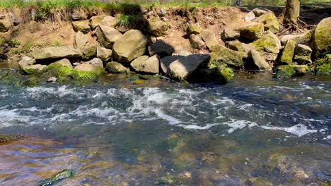 Arroyo-Que-Fluye-Continuamente-A-Través-Del-Bosque-En-Un-Día-Soleado-De-Verano